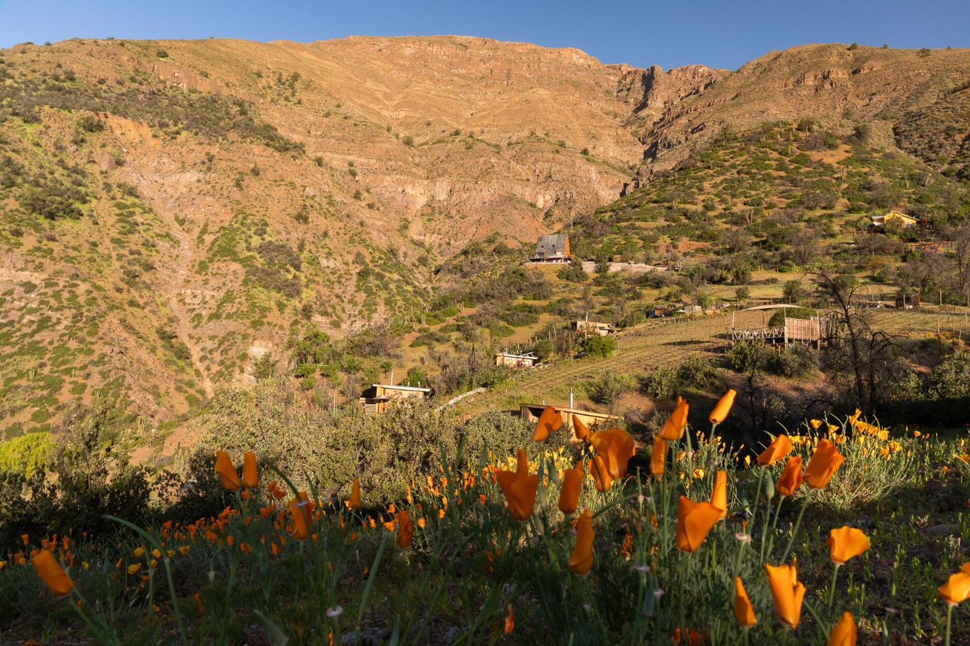 Origen Del Maipo Lodge San José de Maipo Εξωτερικό φωτογραφία