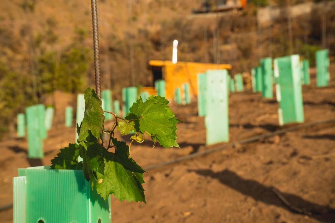 Origen Del Maipo Lodge San José de Maipo Εξωτερικό φωτογραφία